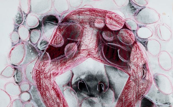 SVA’s Continuing Education Courses Begin January 24