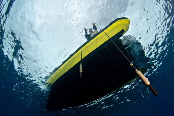 Experience Jana Winderen’s The Art of Listening: Under Water at Columbia University