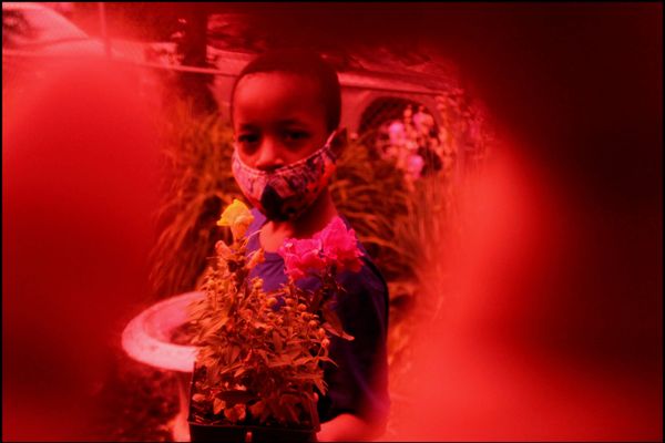 A Remarkable Online Show of Young Photography