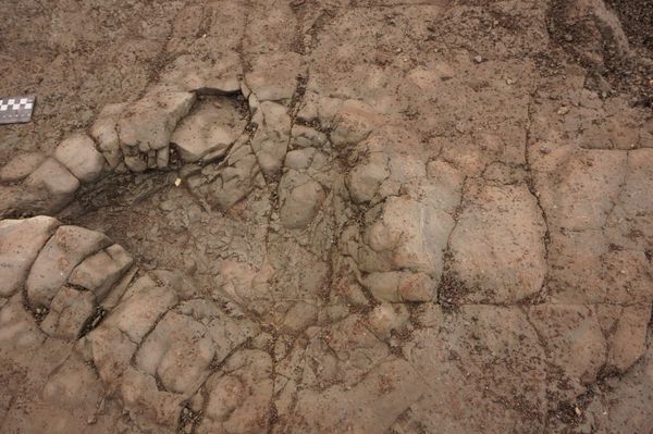 200-million-year-old Dinosaur Footprints Found on UK Beach