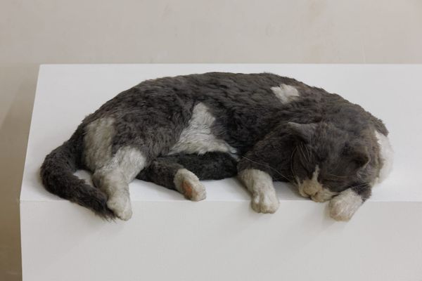 What Is the Future of Monuments?