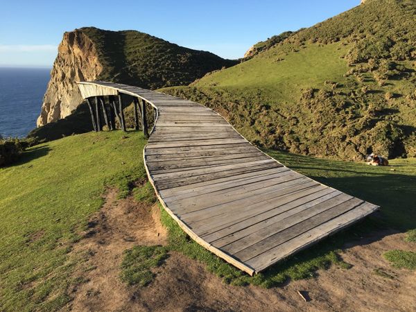 The Compelling Curatorial Allure of a Chilean Island and Its Artists