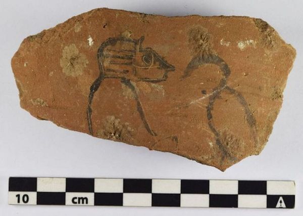 Children's Drawings, Grocery Lists, And Other Inscriptions Found On Ancient Egyptian Sherds