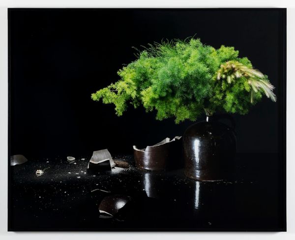 Life, Death, and the Cosmos Come Together in Sharon Lockhart's Art