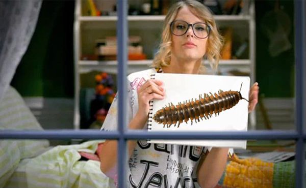 Taylor Swift Now Has a Millipede Named After Her