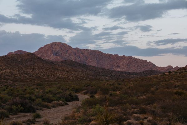 Nevada Artists Mobilize to Establish a Sacred Mountain Range as National Monument