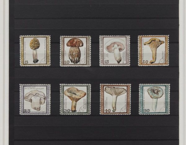A Travelogue of Imaginary Lands in Stamps