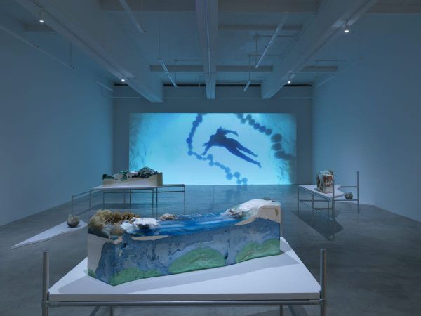 Stories That Need to Be Told