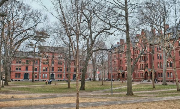 Harvard Holds Remains of 7,000 Native Americans and 19 Possible Enslaved People, Leaked Draft Says