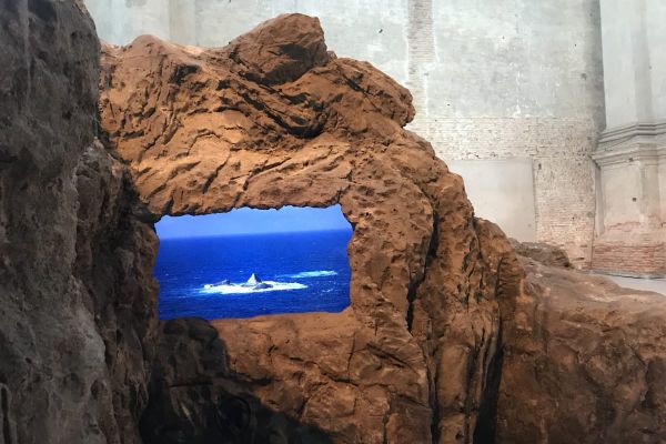 In Venice, a Show Draws Connections Between Colonialism and Marine Ecology