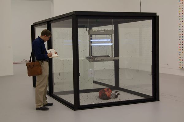 Museum Removes Damien Hirst's Fly-Zapping Installation After Animal Rights Group Complaint