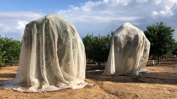 A Studio Visit With Keren Benbenisty