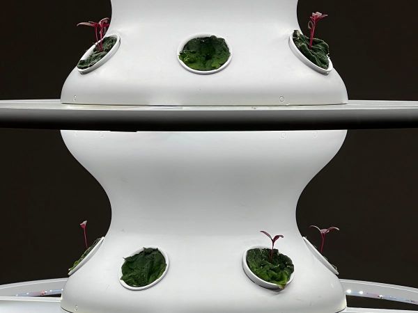 New Generation of Land Artists Embodies a Call for Action