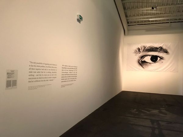 Three Artists Withdraw From Berlin Biennale Over "Commodification" of Iraqi Suffering