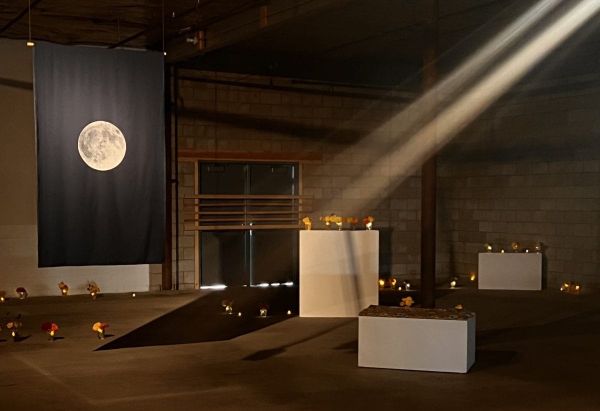 In Santa Fe, Artists and Retirees Join Hands to Combat Loneliness