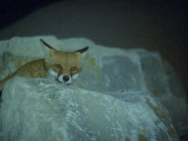 The Hidden Labor of Exhibitions