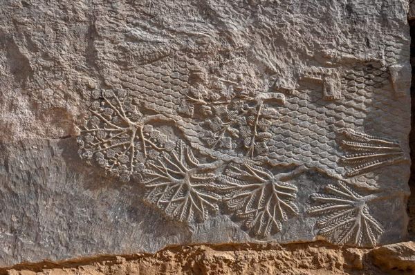 Rare 2,700-Year-Old Stone Carvings Discovered in Iraq