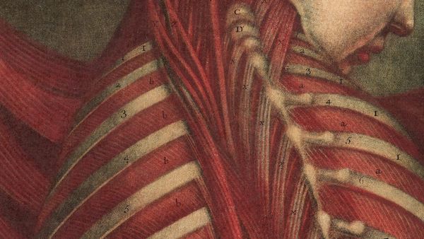 Harvard Art Museums Presents Dare to Know: Prints and Drawings in the Age of Enlightenment