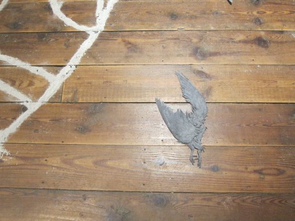 A Difficult but Necessary Exhibition About Roadkill