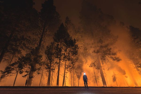 Processing the Trauma of Wildfires Through Art