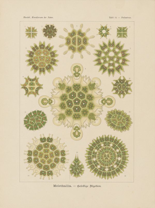 The Politics of the Air We Breathe