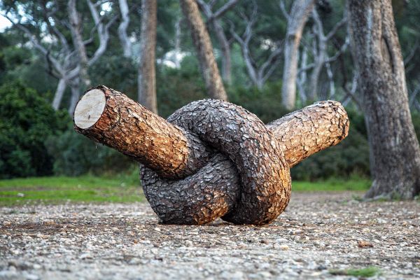 The Mind-Bending Tree Sculptures of “Monsieur Plant”