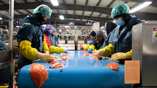 ASU’s Top-Ranked MFA Includes a Three-Year Teaching Assistantship