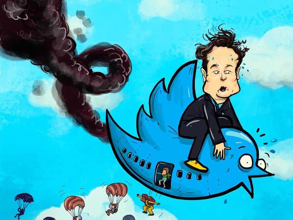 The Greatest Memes From the Twitter Dumpster Fire