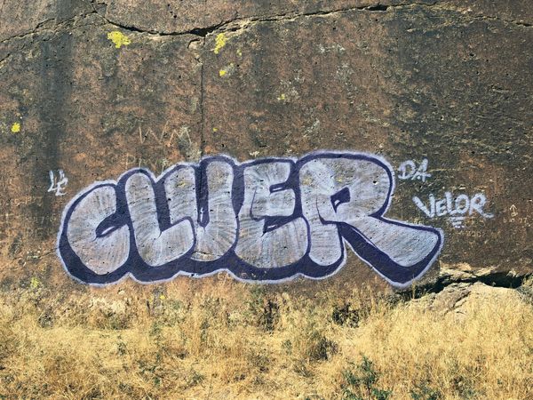 Vandals Who Graffitied Petroglyphs in Nevada Sent to Prison