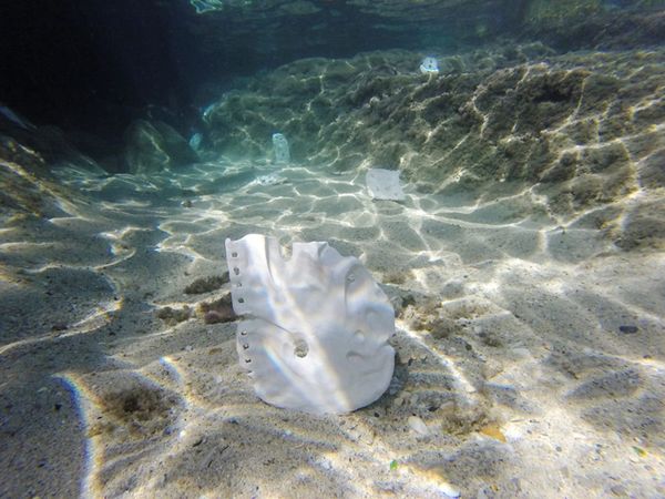 An Eco-Artist’s Dreams for an Underwater Documentary