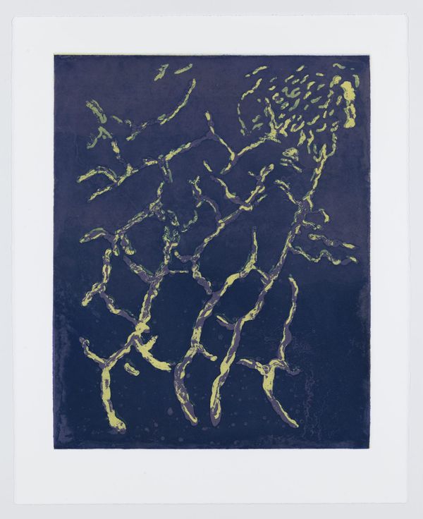 PAFA’s Brodsky Center Presents New Editions by Zoë Charlton and Nell Painter