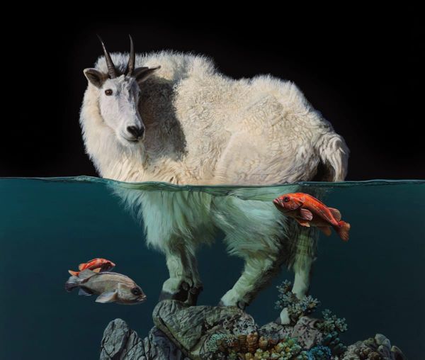 Paintings of Half-Submerged Animals Foretell an Unsettling Future