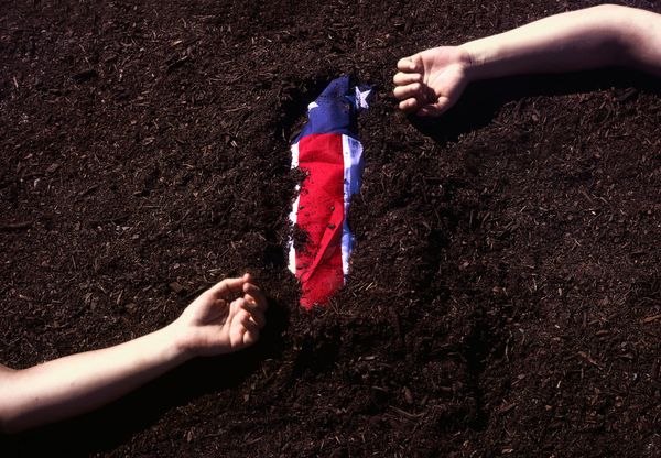 Artists in Battleground States Share Their Thoughts on the Midterms