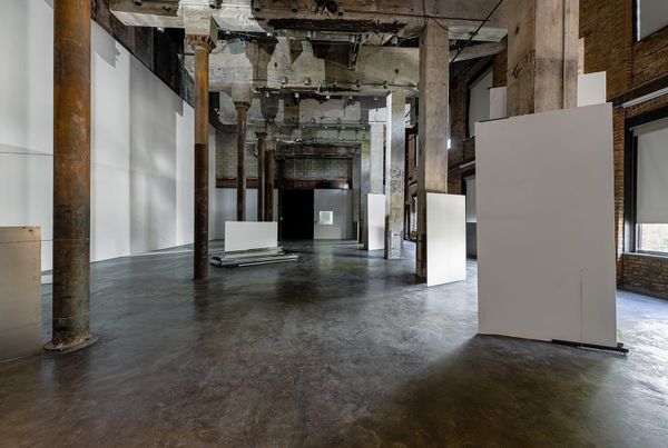 Two Sparse Brooklyn Exhibitions Probe the Elemental Forces of Life