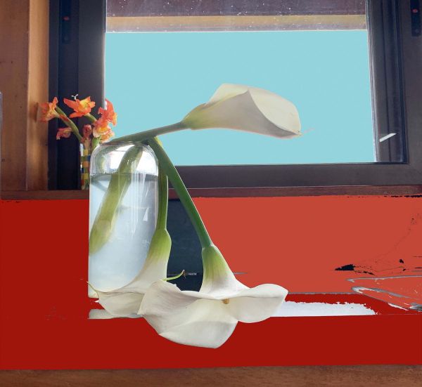 A Fresh Look at Flowers in Photography