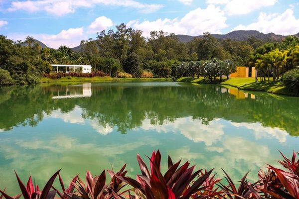 Artist Maxwell Alexandre Goes to War With Brazil's Inhotim Institute