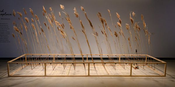 University of Michigan’s Stamps School of Art & Design Offers a Unique MFA Experience