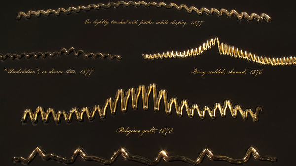 The Heart’s Knowledge: Science and Empathy in the Art of Dario Robleto