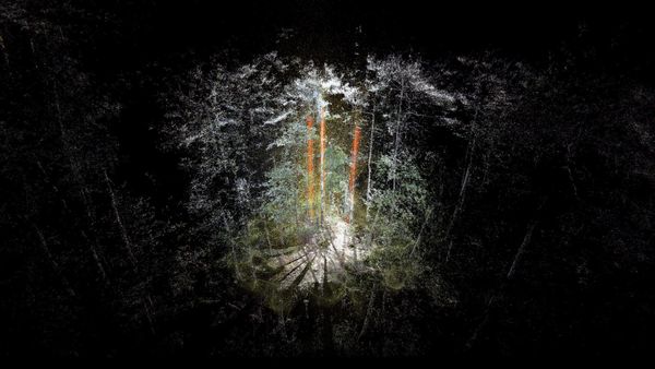 Onsite Gallery Presents more-than-human