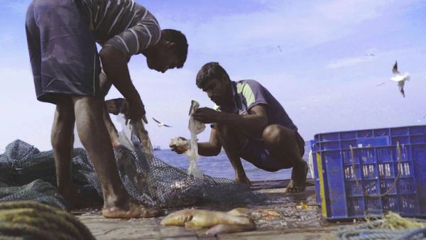 A Tale of Two Indigenous Fishermen in Mumbai