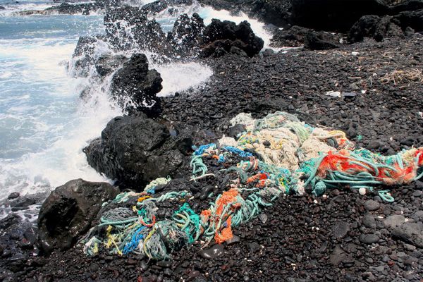 A Crowd-Sourced Archive of Our Oceans’ Plastics