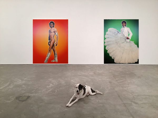 Greek Museum Welcomes Dogs For World Stray Animal Day