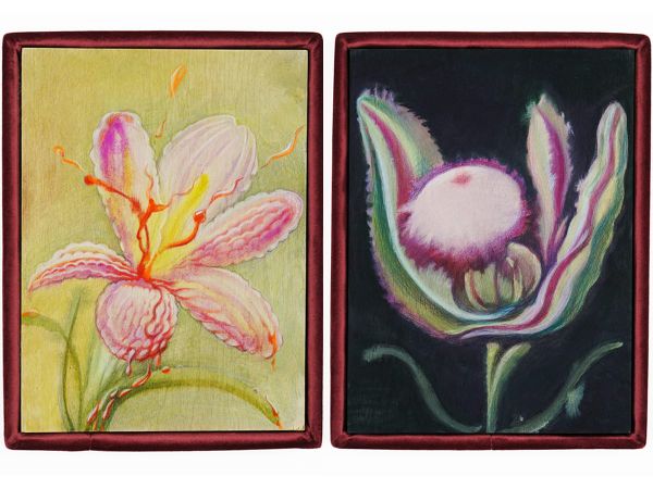 Painting the Terrifying Beauty of Abortion-Inducing Flowers