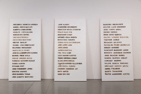 Remembering the Migrants Who Died in US Detention