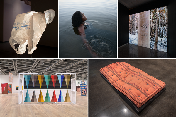 McKnight Visual Artist Fellows Discussion Series at the Minneapolis Institute of Art