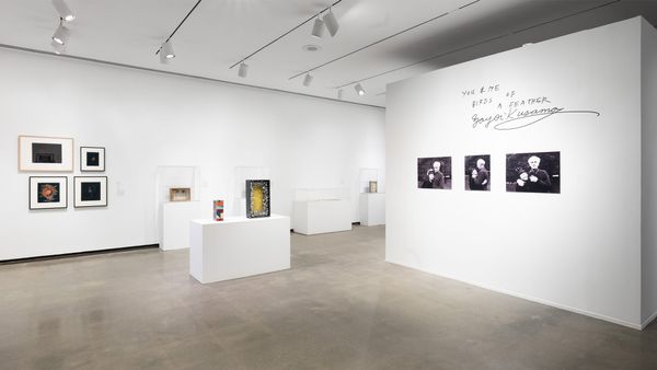 Miniature Worlds: Joseph Cornell, Ray Johnson, Yayoi Kusama