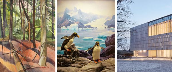 The Bruce Museum Announces Grand Reopening After $67M Expansion