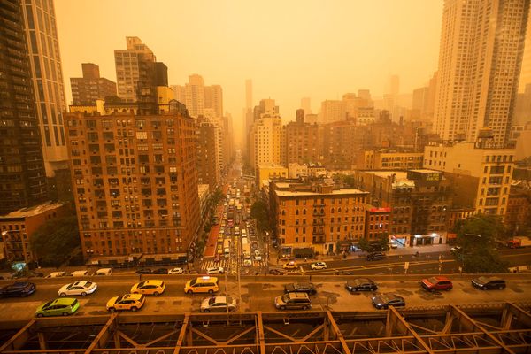 NYC Art Institutions Close Amid Air Pollution Concerns