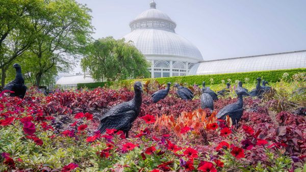 Don’t Miss Ebony G. Patterson’s Summer Art Exhibition at the New York Botanical Garden