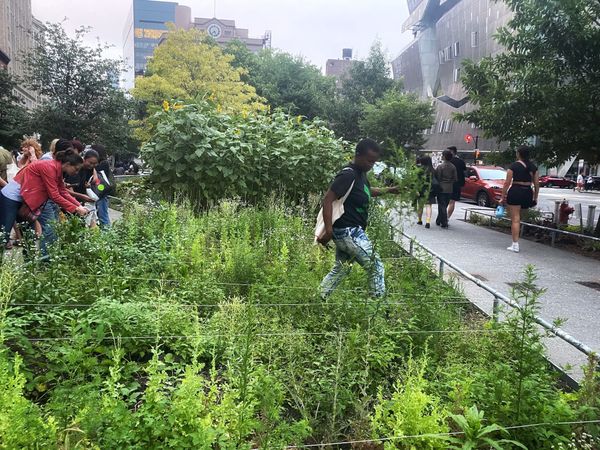 What Good Is Eco-Art Without Community?